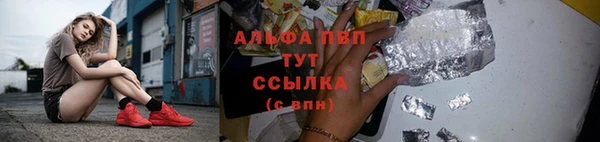 ПСИЛОЦИБИНОВЫЕ ГРИБЫ Няндома