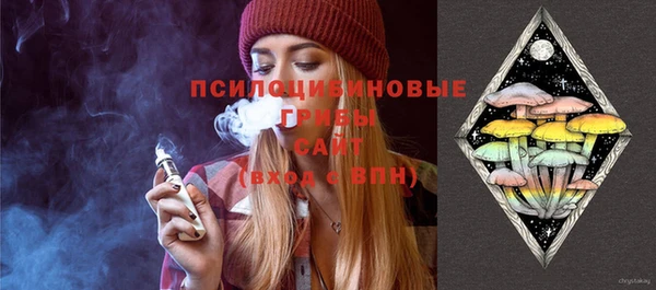 ПСИЛОЦИБИНОВЫЕ ГРИБЫ Няндома