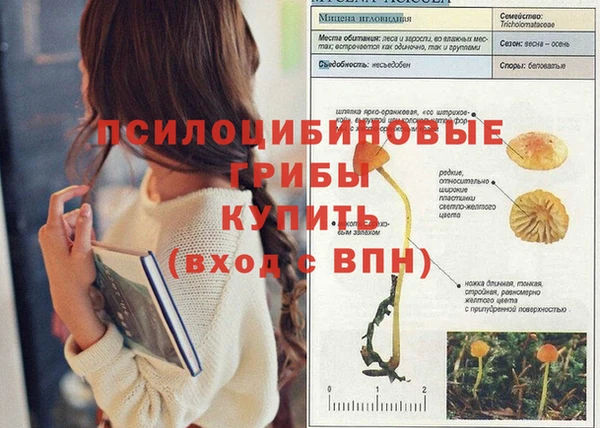 меф Абаза